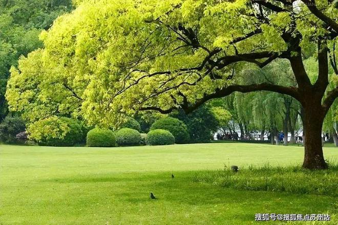 2024花语景岸(售楼中心)官方网站-花语景岸房产百科-苏州房天下(图6)
