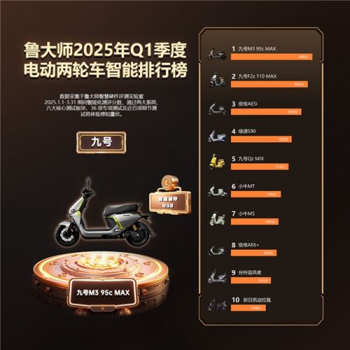 鲁大师2025年Q1季度电动车智能排行：九号领跑高端市场极核、绿源智能化突围(图2)
