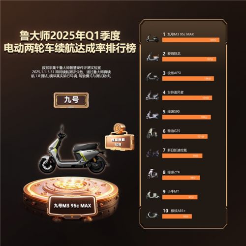 鲁大师2025年Q1季度电动车智能排行：九号领跑高端市场极核、绿源智能化突围(图4)