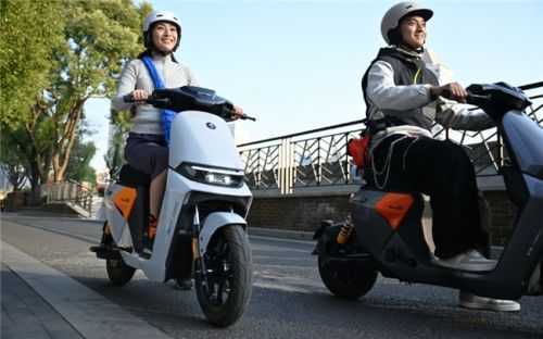 鲁大师2025年Q1季度电动车智能排行：九号领跑高端市场极核、绿源智能化突围(图5)