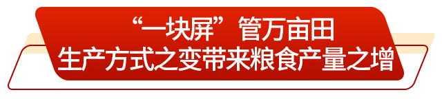 走在前 挑大梁丨藏粮有方“齐鲁粮仓”更满更优(图1)