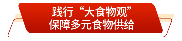 走在前 挑大梁丨藏粮有方“齐鲁粮仓”更满更优(图5)