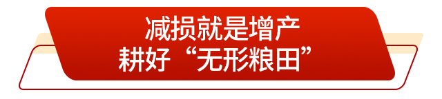 走在前 挑大梁丨藏粮有方“齐鲁粮仓”更满更优(图4)