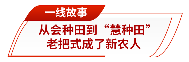 走在前 挑大梁丨藏粮有方“齐鲁粮仓”更满更优(图7)