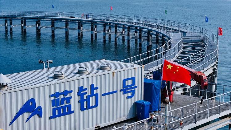 走在前 挑大梁丨藏粮有方“齐鲁粮仓”更满更优(图6)
