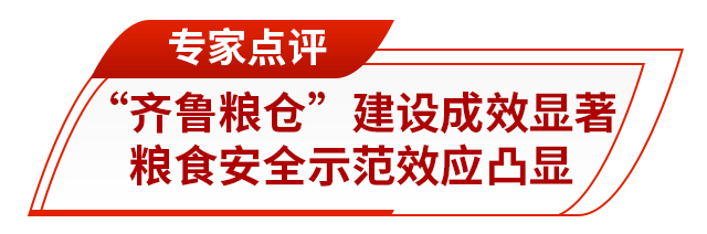 走在前 挑大梁丨藏粮有方“齐鲁粮仓”更满更优(图8)