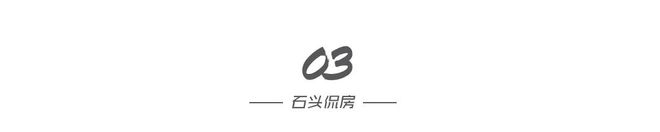 王振华失去一位美女CFO(图3)