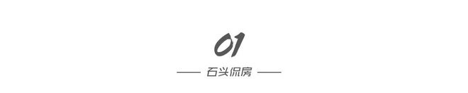 王振华失去一位美女CFO(图1)