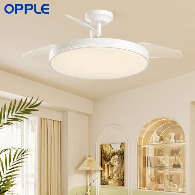 CBI500榜单：家装家具品牌逆势增长跑赢大盘看2026存量焕新机会(图4)