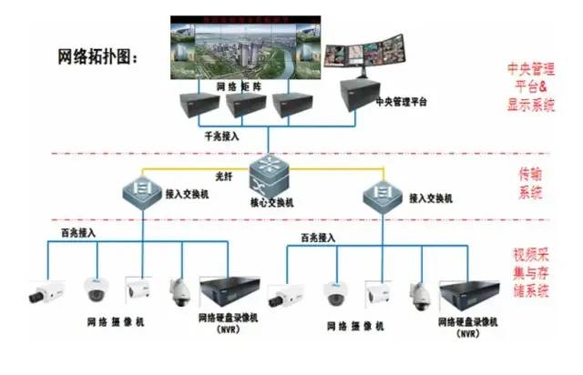 政策监督-流媒体网(图1)